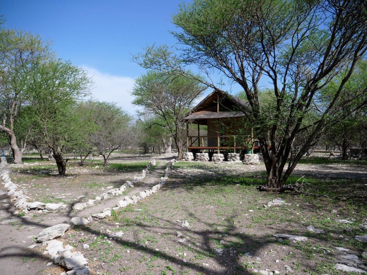 Thakadu Bush Camp Villa Ghanzi Exterior foto